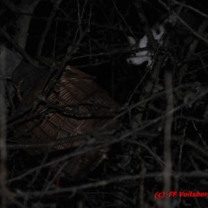 Einsatzbild