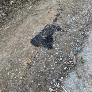 Einsatzbild