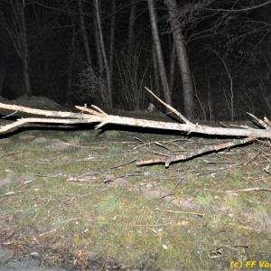 Einsatzbild
