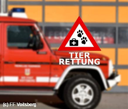 Letzter Einsatz
