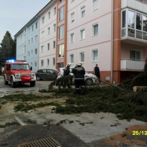 Einsatzbild